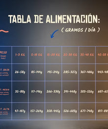 Lenda Grain Free Monoproteico - Salmón