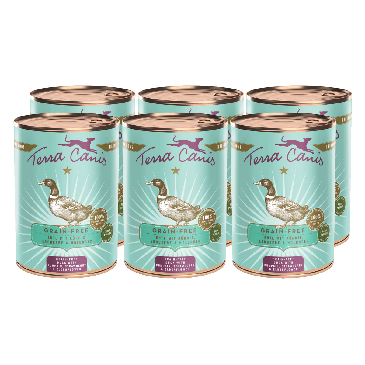 Terra Canis GRAIN-FREE Pato con calabaza, fresa y saúco
