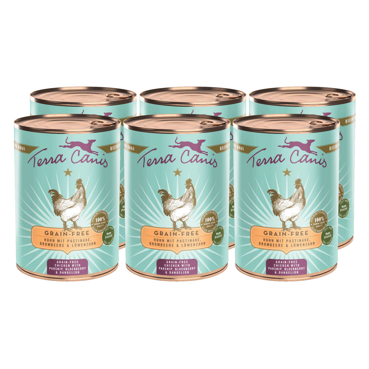 Terra Canis GRAIN-FREE Pollo con chirivía, zarzamora y diente de león