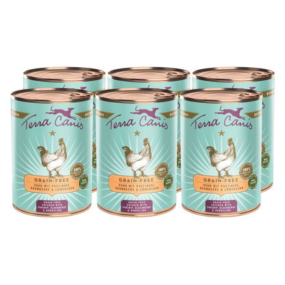 Terra Canis GRAIN-FREE Pollo con chirivía, zarzamora y diente de león