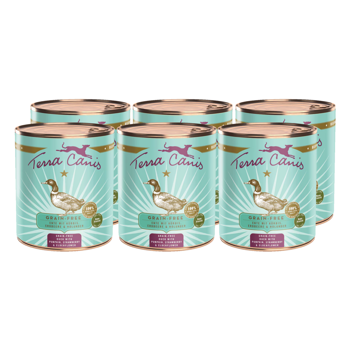 Terra Canis GRAIN-FREE Pato con calabaza, fresa y saúco