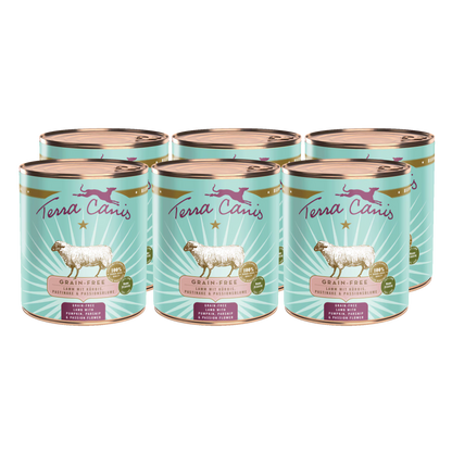 Terra Canis GRAIN-FREE Cordero con calabaza, chirivía y flor de la pasión