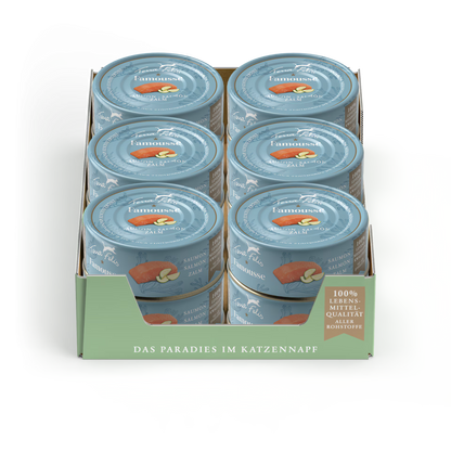 Terra Felis Famousse Salmón 12 x 80 g
