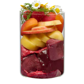 Terra Canis Garden Gourmet  Buey