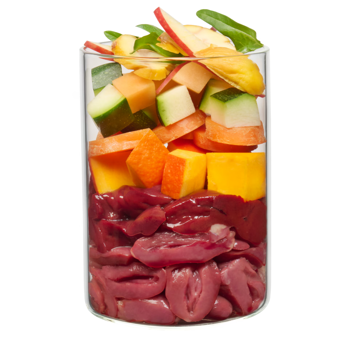 Terra Canis GRAIN-FREE Pato con calabaza, fresa y saúco