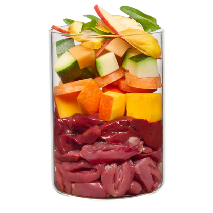 Terra Canis GRAIN-FREE Pato con calabaza, fresa y saúco