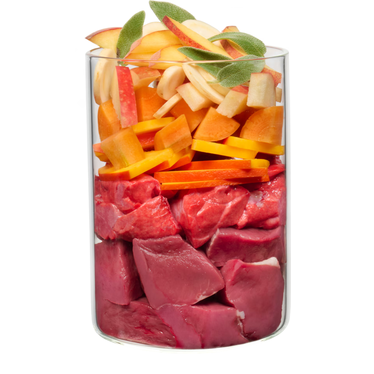Terra Canis GRAIN-FREE Cordero con calabaza, chirivía y flor de la pasión