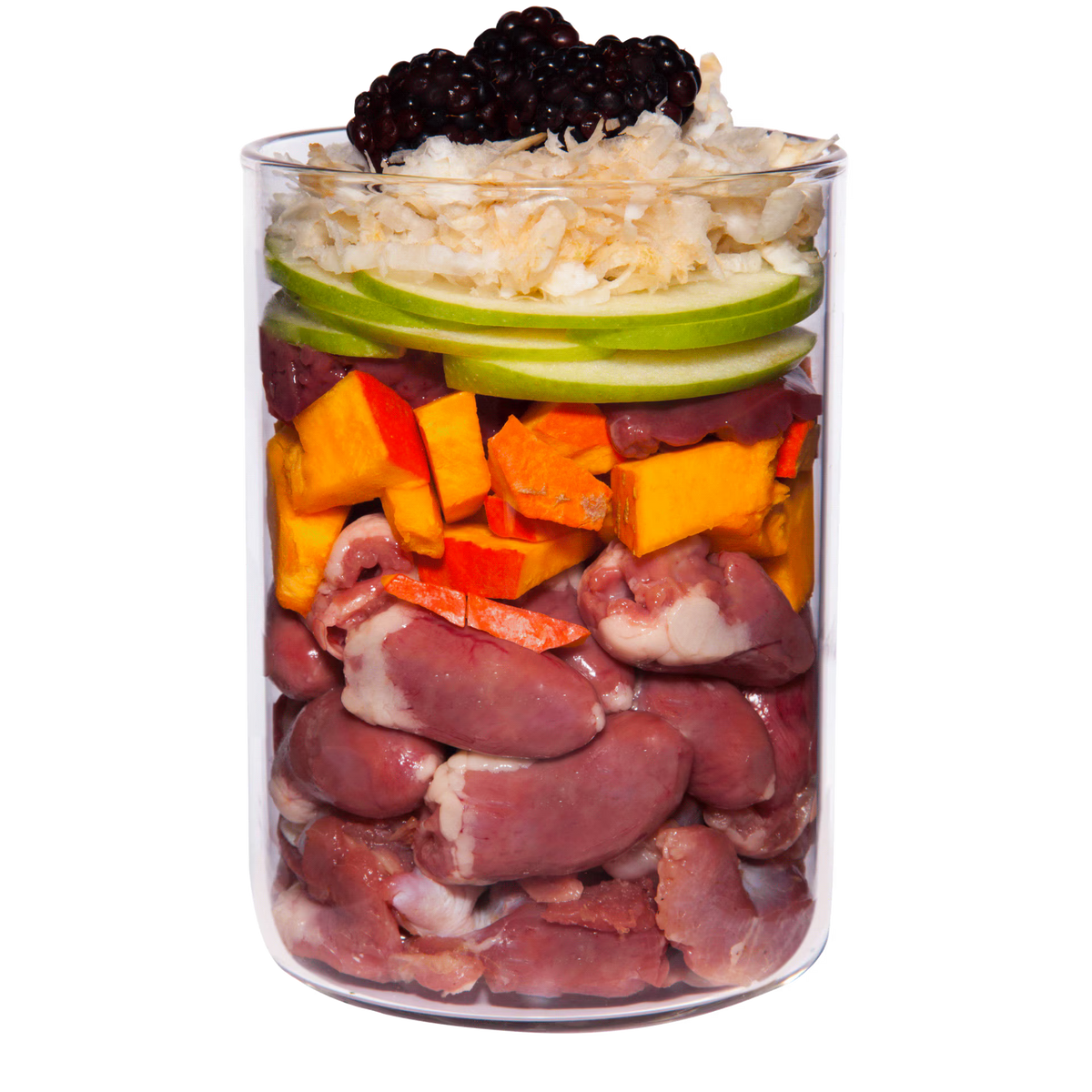 Terra Canis GRAIN-FREE Pollo con chirivía, zarzamora y diente de león