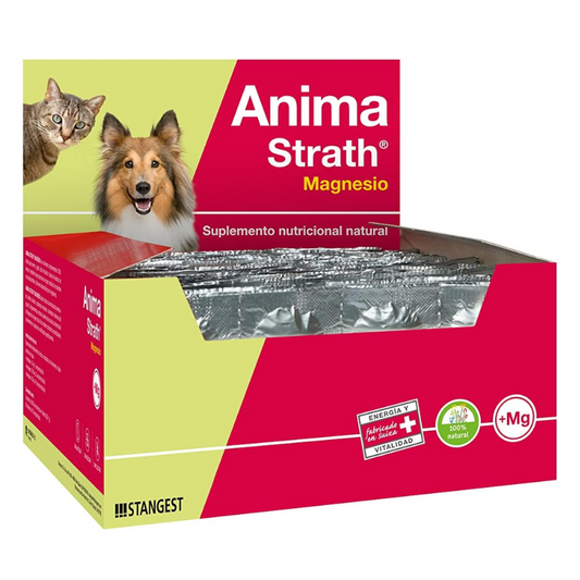 Anima Strath Magnesi (blister 360 comp.)