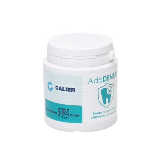 ADO Dental (60 g)