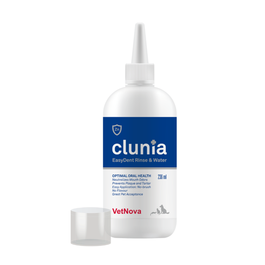 Clunia Easy Dent Rinse & Water (236 ml)