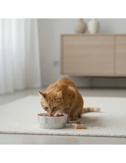 Dibaq Sense Cat Esterilizado Pavo con Calabaza