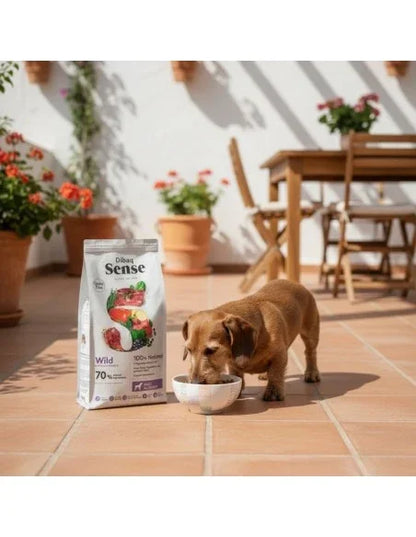Dibaq Sense Grain Free Jabalí y Ciervo