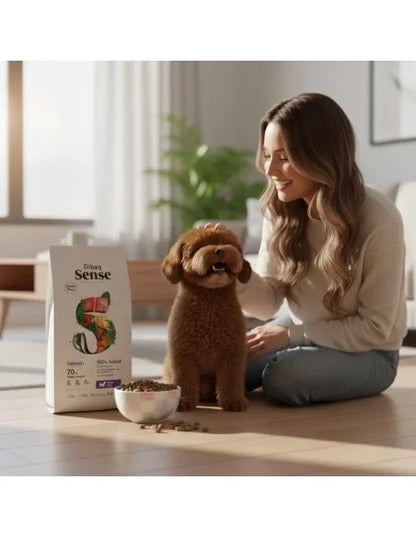 Dibaq Sense Grain Free Salmón Mini