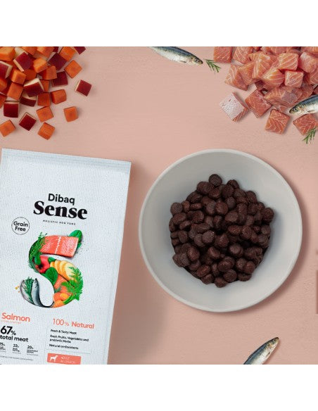Dibaq Sense Grain Free Salmón