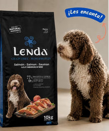 Lenda Grain Free Monoproteico - Salmón