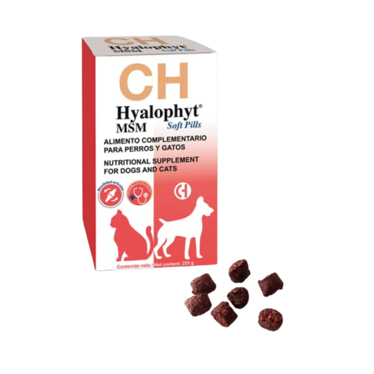 Hyalophyt MSM Soft Pills (225 g)