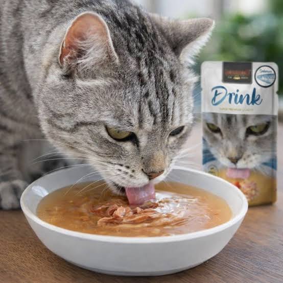 LEONARDO Drinks Salmón– Bebida  hidratación de Pato para Salmón
