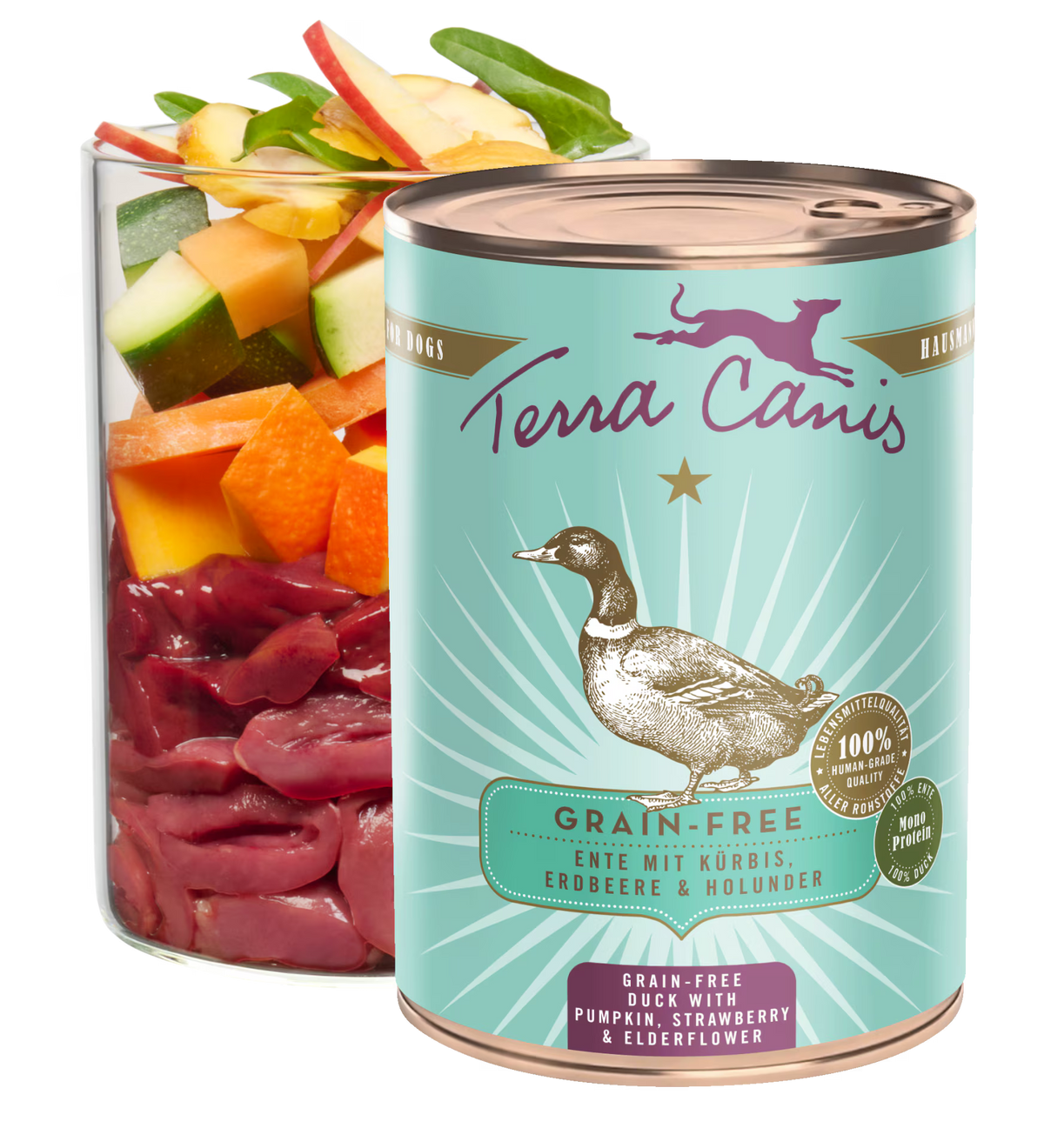 Terra Canis GRAIN-FREE Pato con calabaza, fresa y saúco