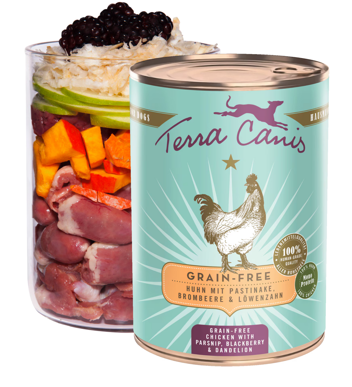 Terra Canis GRAIN-FREE Pollo con chirivía, zarzamora y diente de león