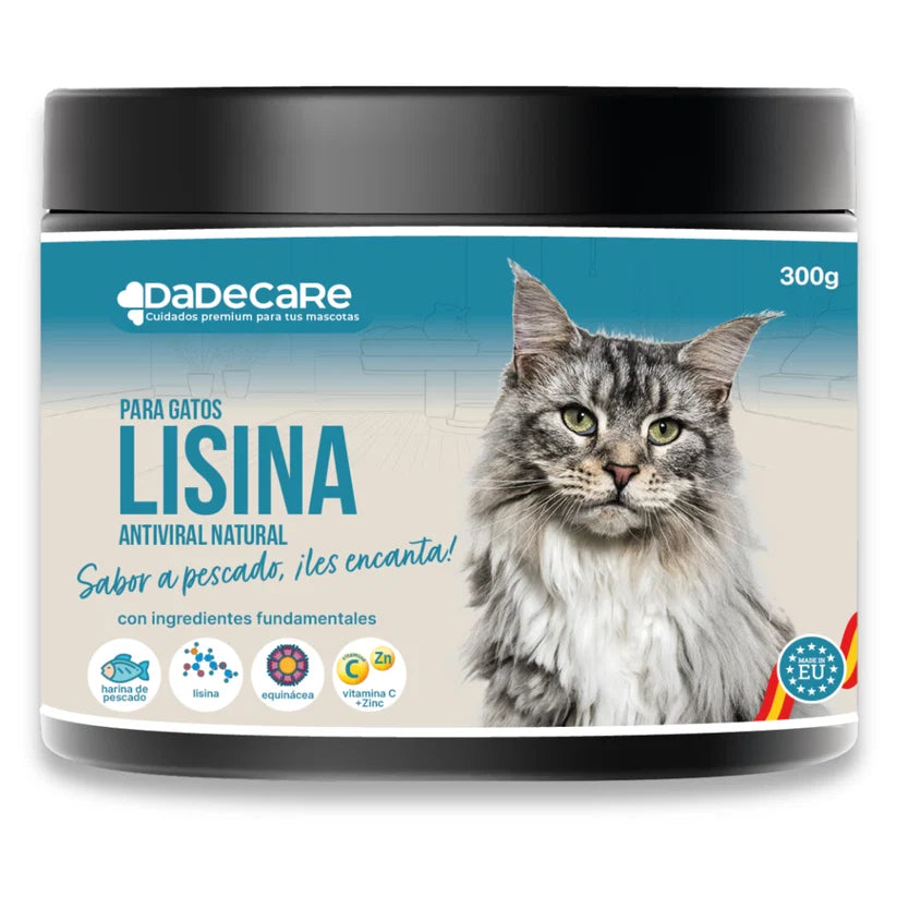 L-Lisina 300g para Gatos (Sabor Pescado) | Inmunidad y Herpesvirus Felino — DadeCare