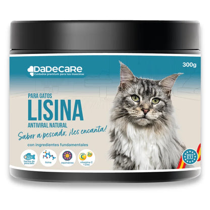 L-Lisina 300g para Gatos (Sabor Pescado) | Inmunidad y Herpesvirus Felino — DadeCare