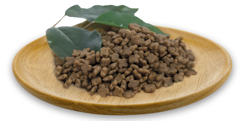 Natural Greatness – Puppy y Adult Mini Sabor Cordero