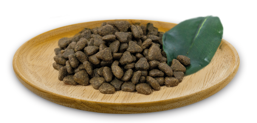 Natural Greatness - Sensitive Indoor