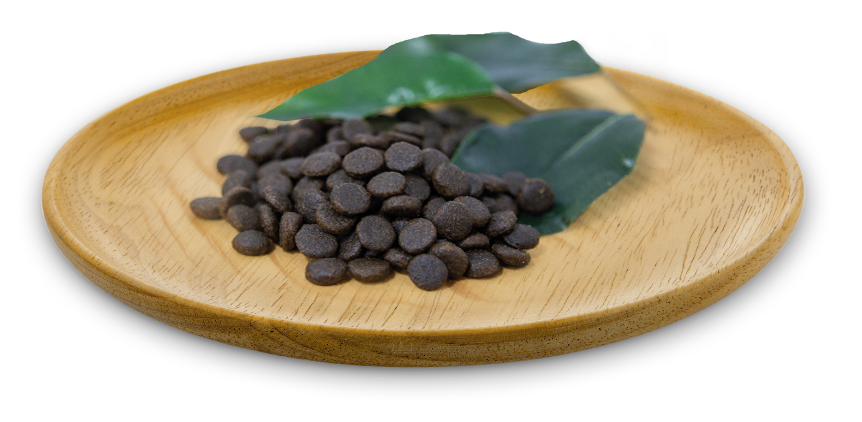 Natural Greatness - Wild Instinct Gatos y Gatitos Top Mountain