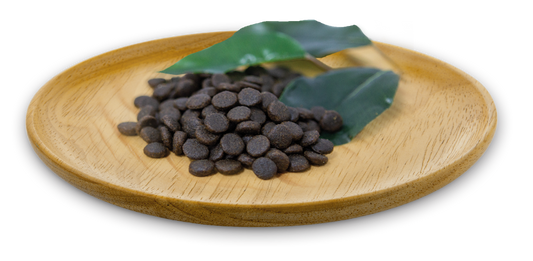 Natural Greatness - Wild Instinct Gatos y Gatitos Top Mountain