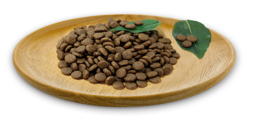 Natural Greatness - Wild Instinct Gatos y Gatitos Medium & Large