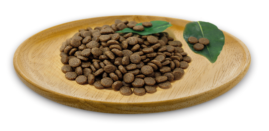 Natural Greatness - Wild Instinct Gatos y Gatitos Medium & Large