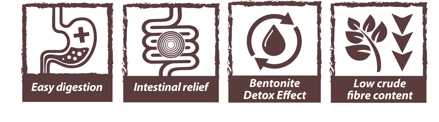 Natural Greatness Diet Vet Gastrointestinal Gato