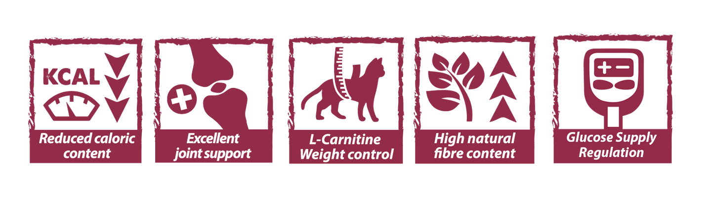 Natural Greatness Obesity & Diabetic para Gatos