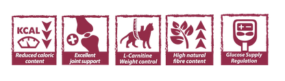 Natural Greatness Obesity & Diabetic para Gatos