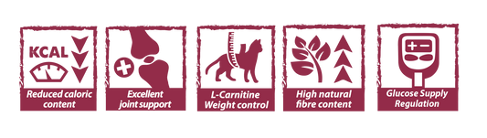 Natural Greatness Obesity & Diabetic para Gatos