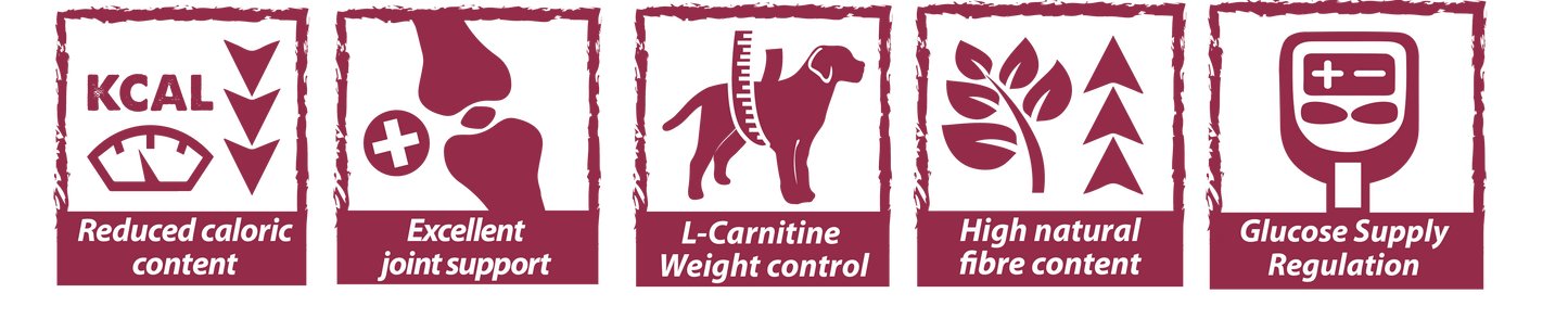 Natural Greatness – Vet Diets Obesidad y Diabetes para Perros