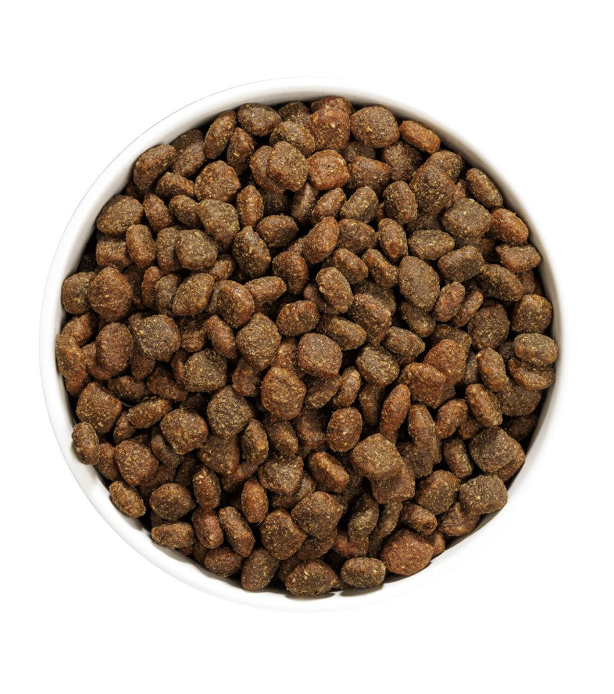Ownat Author Grain Free Fresh Duck & Chicken – Perro