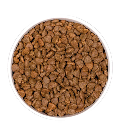 OWNAT GF PRIME KITTEN (CAT)