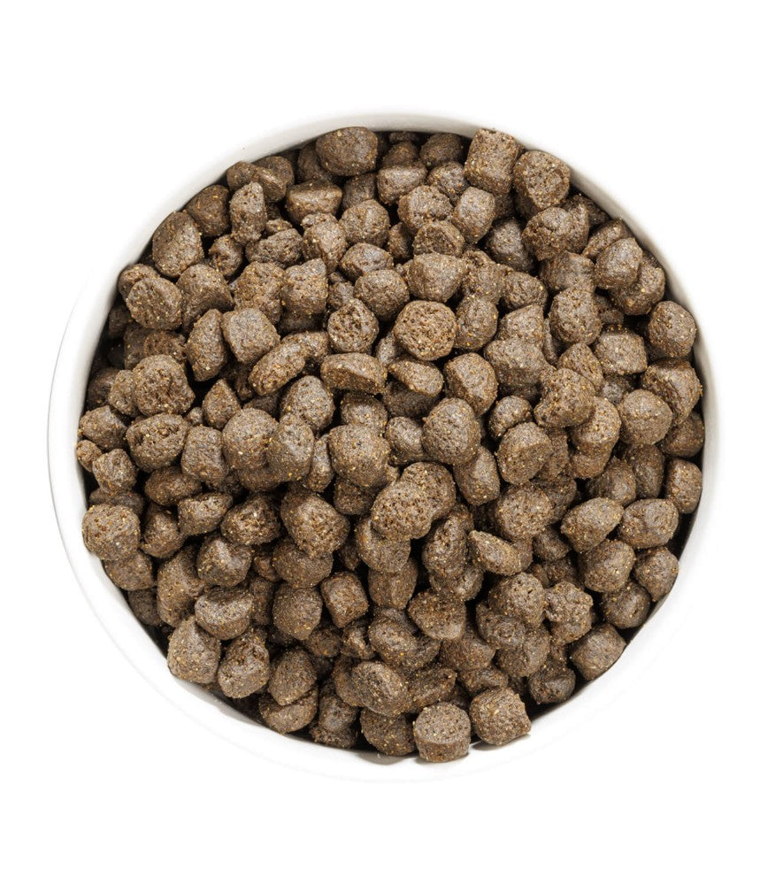 Ownat Prime Grain Free Adult Only Fish