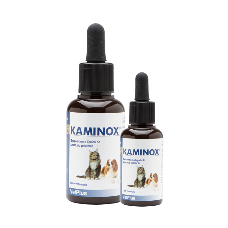 Kaminox (60 ml)