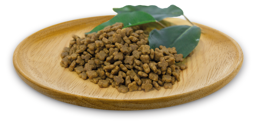 Natural Greatness - Wild Instinct Gatos y Gatitos